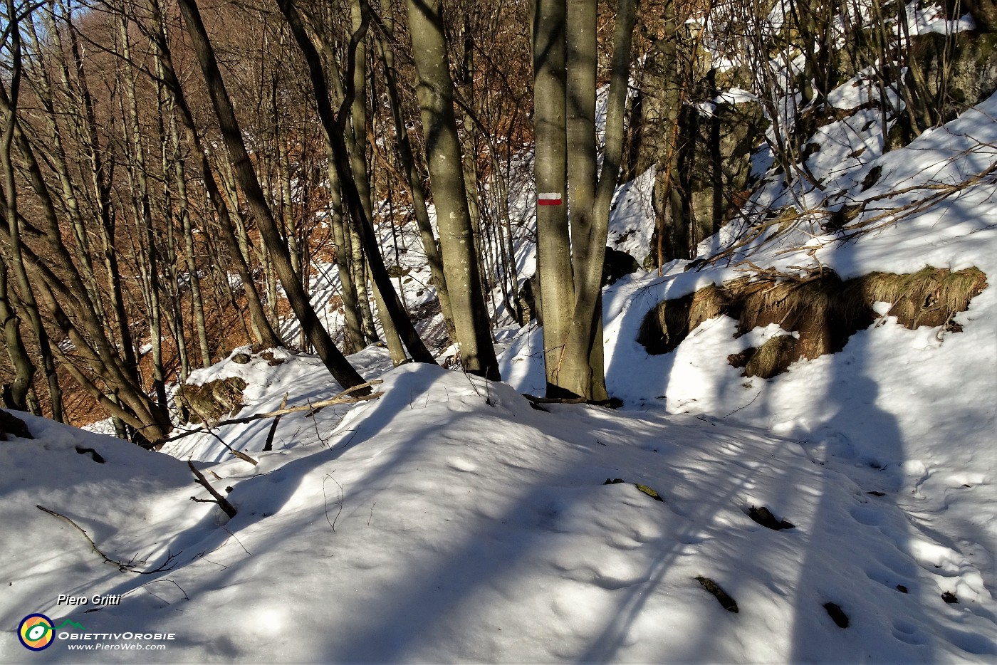 66 In discesa pestando neve non ghiacciata!.JPG